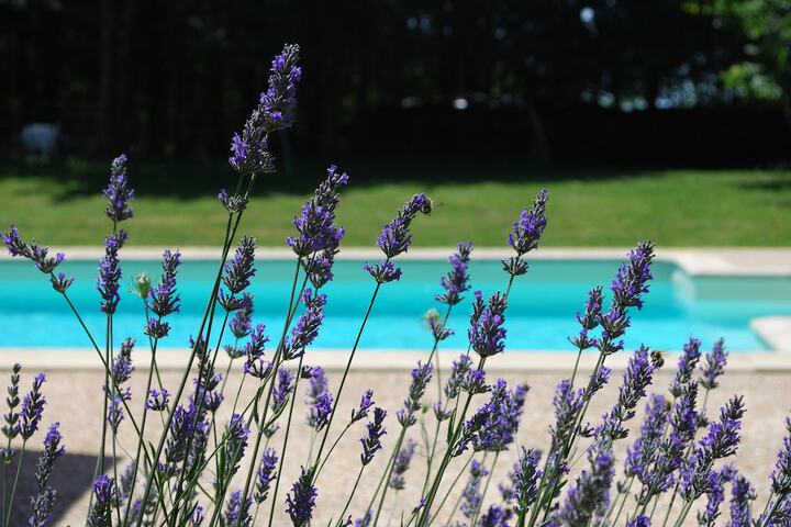 Hotel with Pool