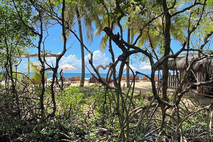 Beach 70 of 82