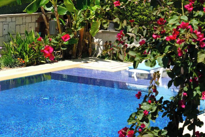 Pool 33 of 117