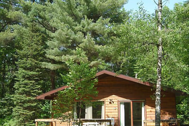 TULIP INN
