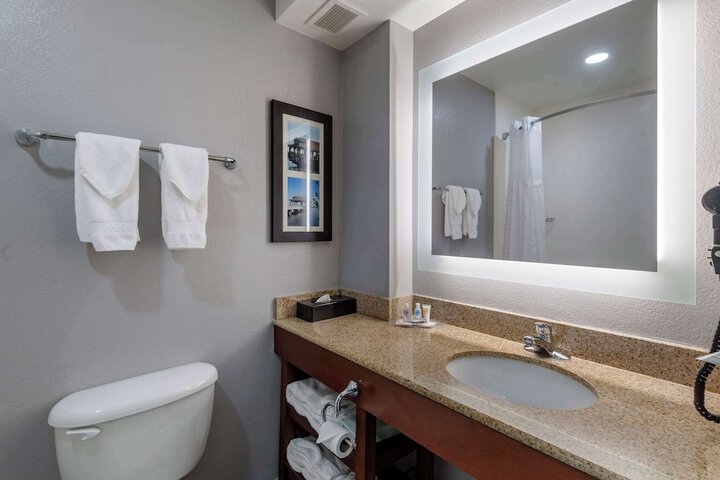 1 King Bed Suite (5 of 21)