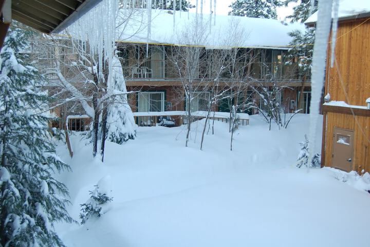 Property Grounds 54 of 85