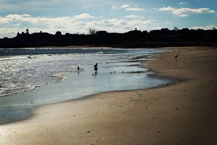 Beach 7 of 8