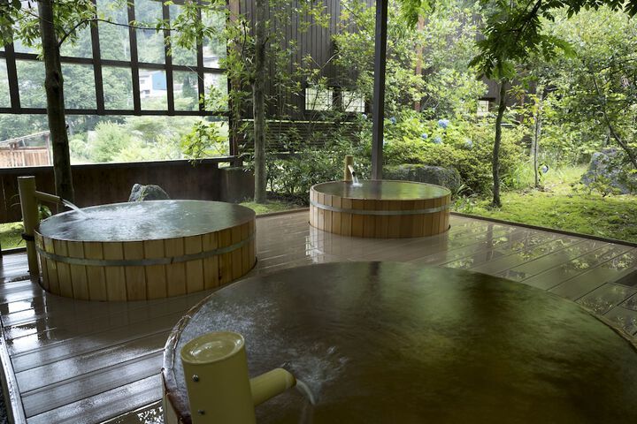 Wellness Treatments