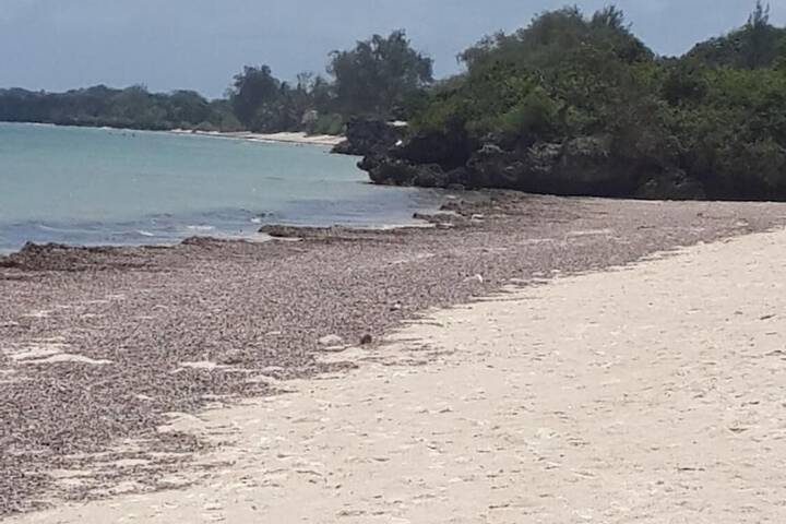 Beach 17 of 28