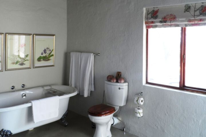 Room 35 of 116