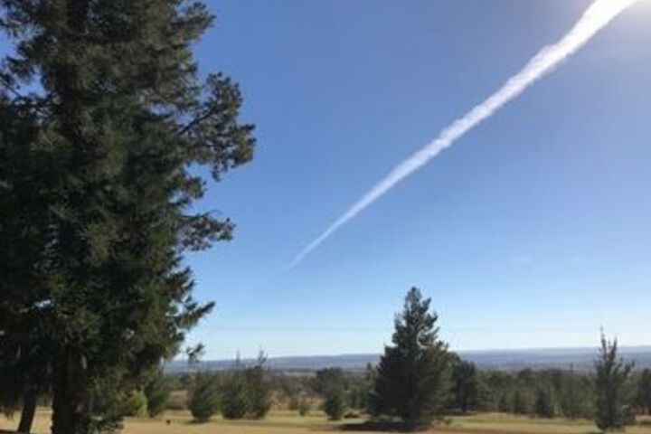 Property Grounds 16 of 20