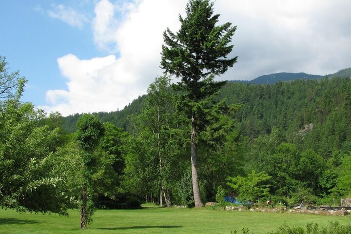 Property Grounds 13 of 21