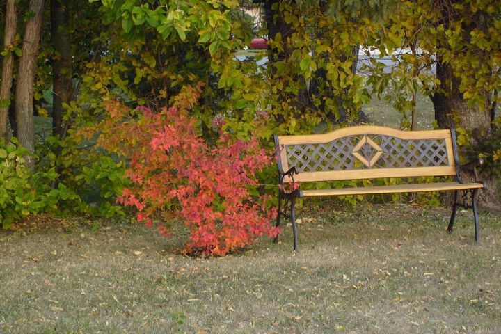 Property Grounds 15 of 18