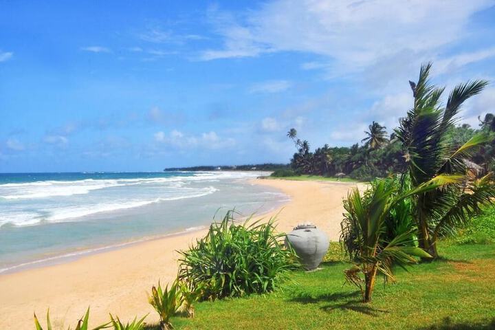 Beach 54 of 69