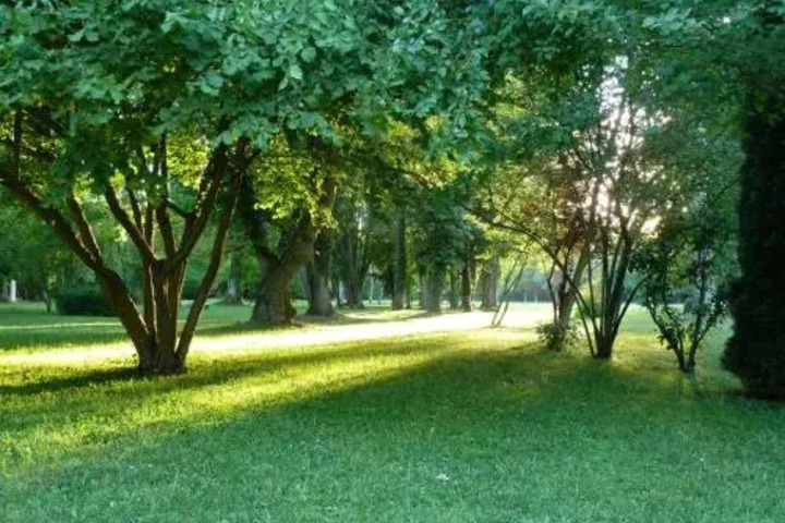 DOMAINE DES GRAVIERS