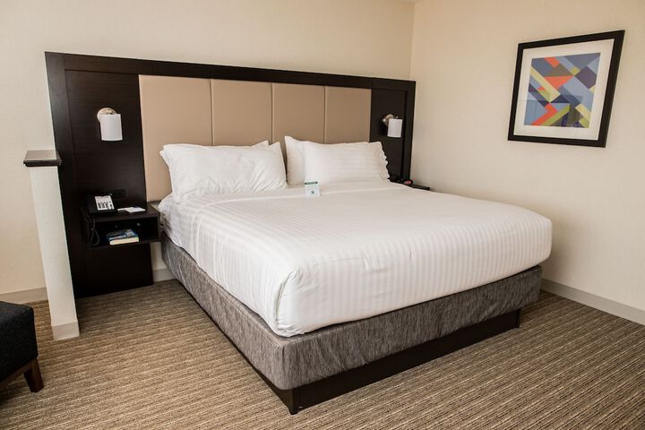 1 King Bed (6 of 14)