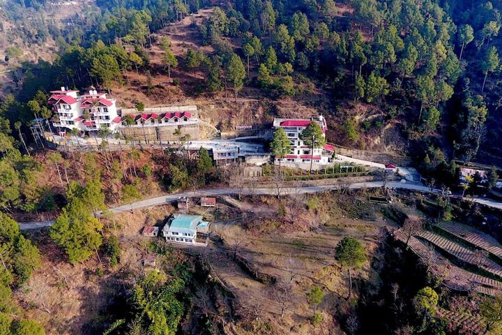 Hotel Chail Retreat-A Boutique Resort
