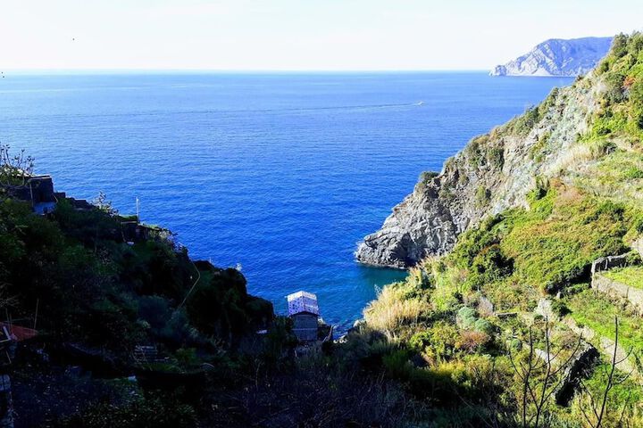 Arbanella in Vernazza