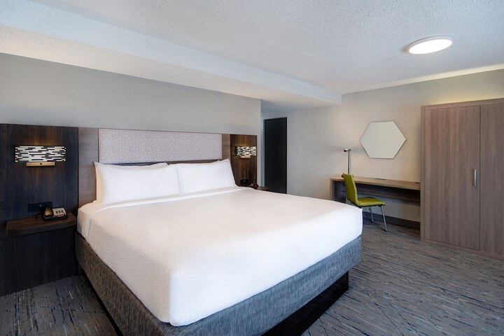 Standard King Bed Accessible (5 of 6)