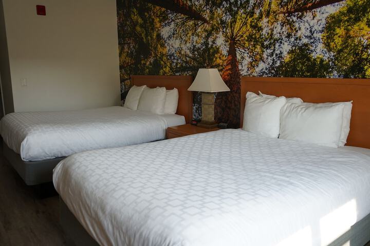 2 Queen Beds (9 of 17)