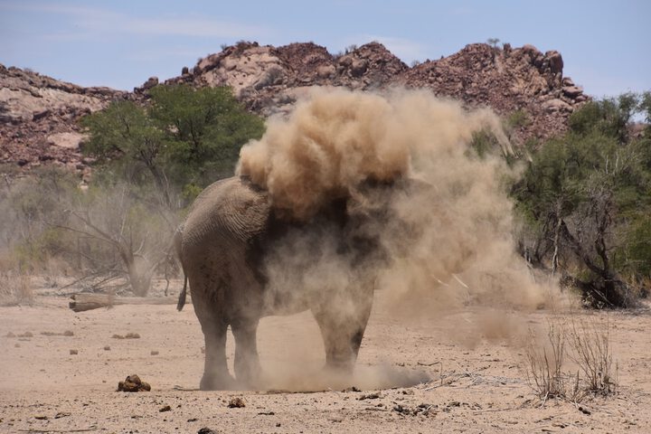 Ecotours