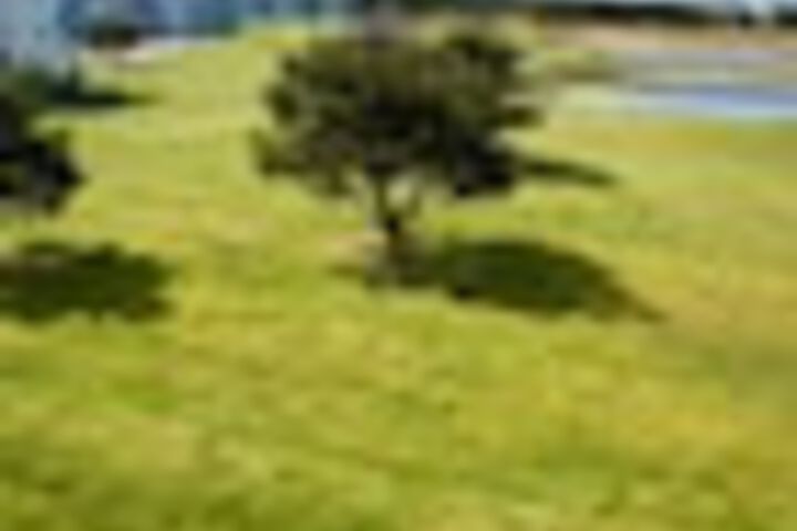 Property Grounds 107 of 123