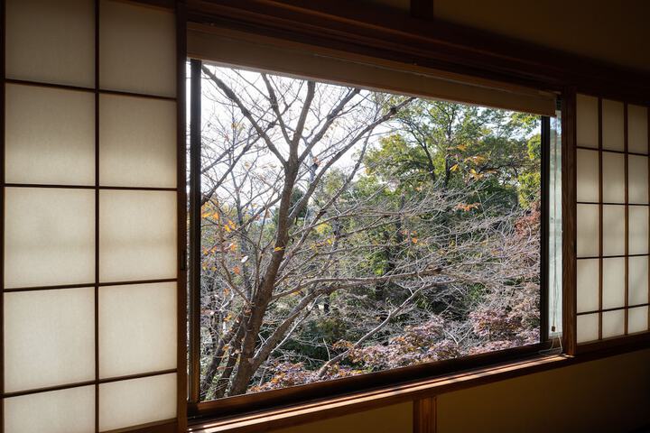 Room 26 of 246