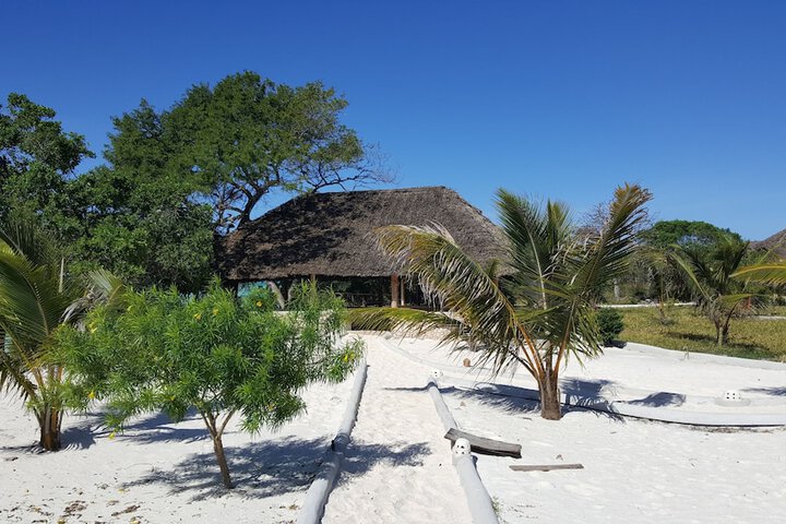 Beach 50 of 66