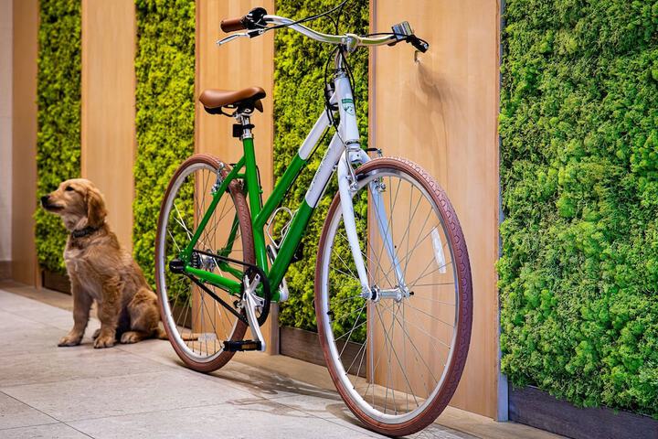 Outdoor Activities 32 of 50