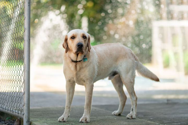 Pet Friendly 50 of 105