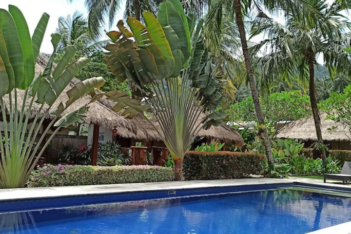 Garden view