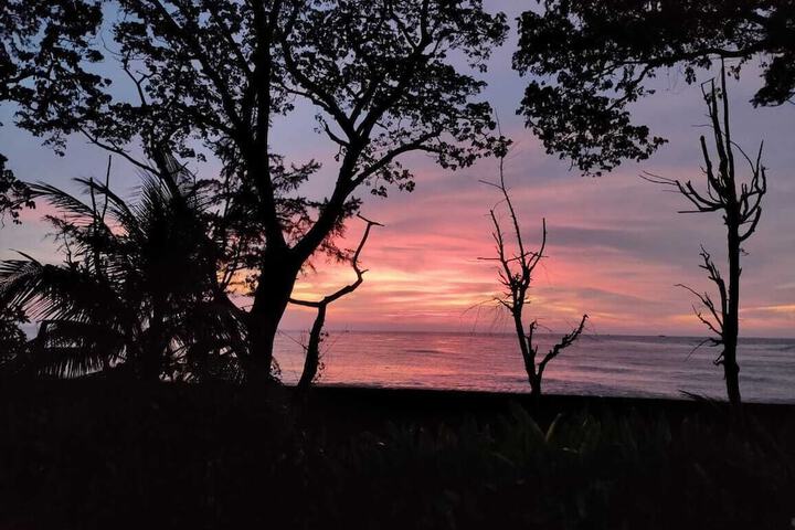Beach 47 of 54