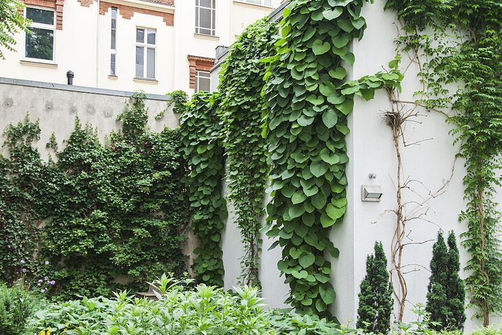 Hotel Exterior 49 of 53