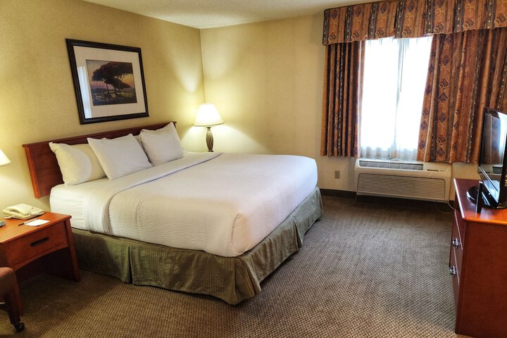 2 Double Beds 1 Bedroom Suite (11 of 22)