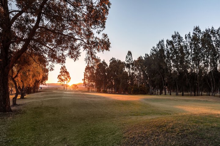 Golf 49 of 102