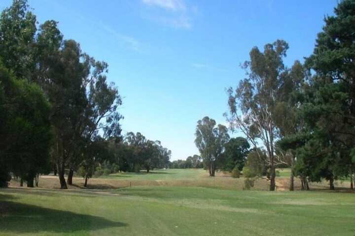 Golf 28 of 43