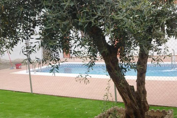 Spa and Wellness