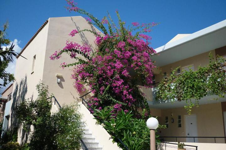 Photo 29