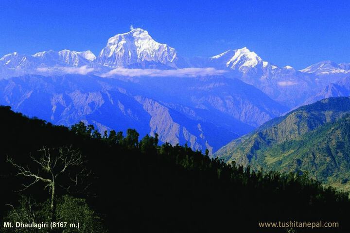 Mountain view