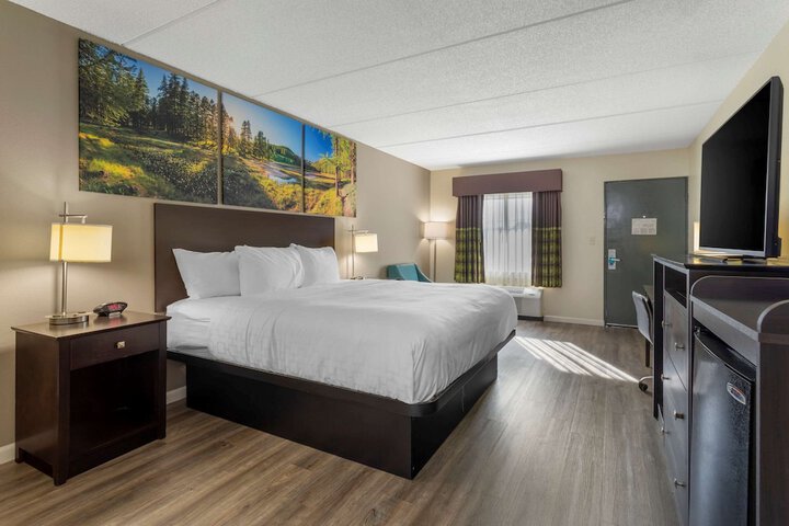 1 King Bed (8 of 15)