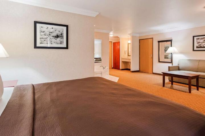 Suite 1 King Bed Whirlpool Sofa Bed Microwave and Refrigerator WiFi Continental Breakfast (13 of 14)