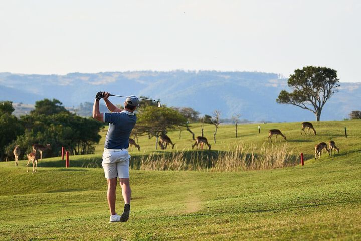 Golf 29 of 79