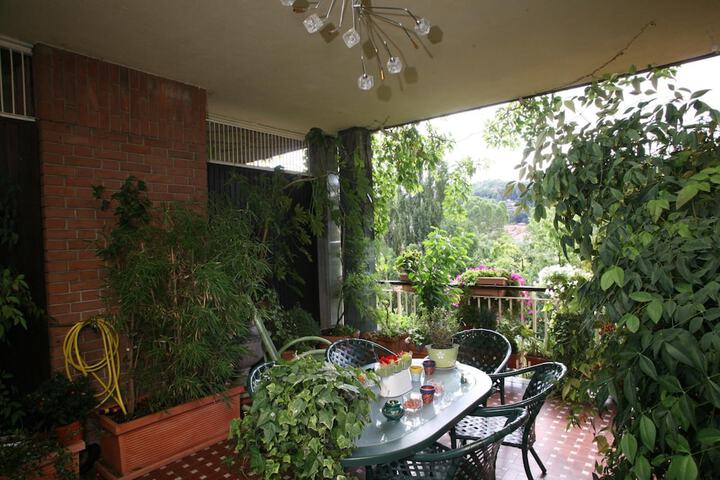 Terrace/Patio 13 of 50