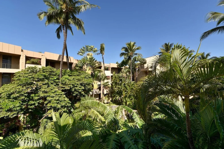 Paki Maui 414 by RedAwning