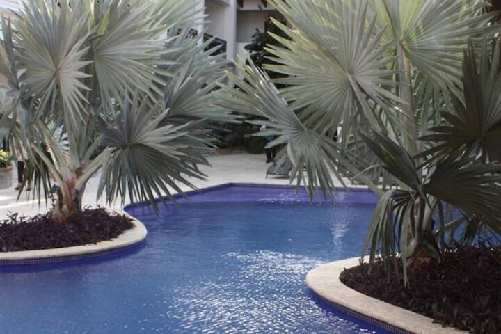 Pool 23 of 66