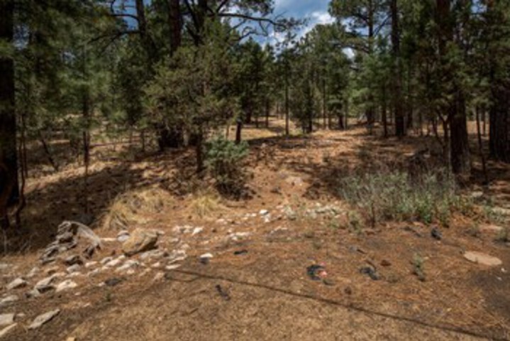 Property Grounds 21 of 34