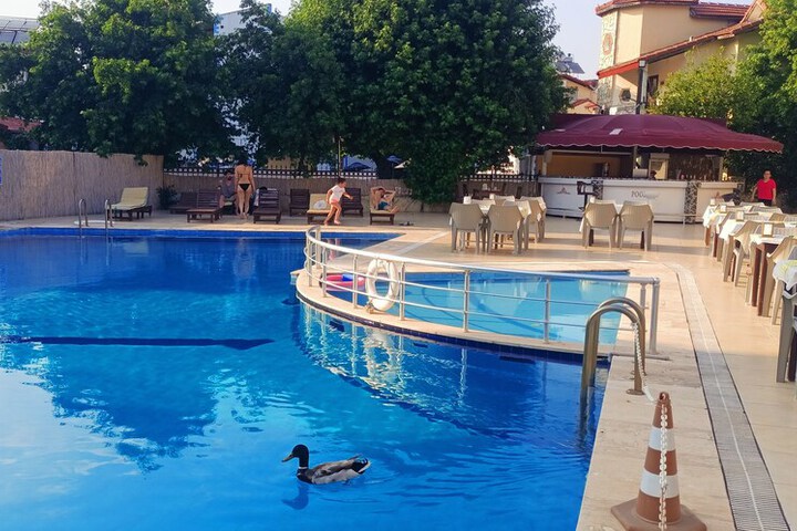 Pool 11 of 19