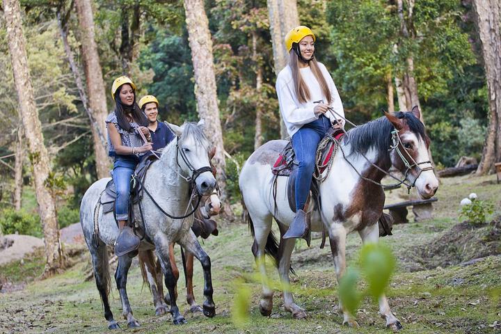 Horseback riding