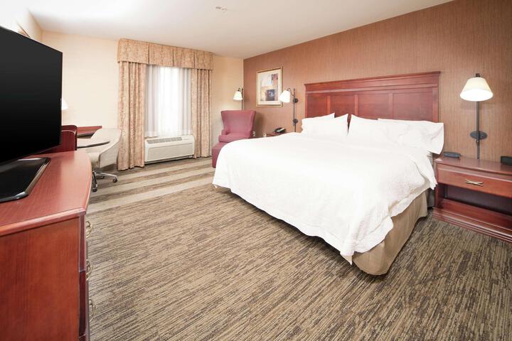 1 King Hearing Accessible Studio with Sofa Bed (8 of 30)