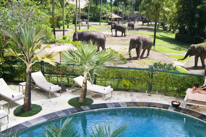 Hotel Pool