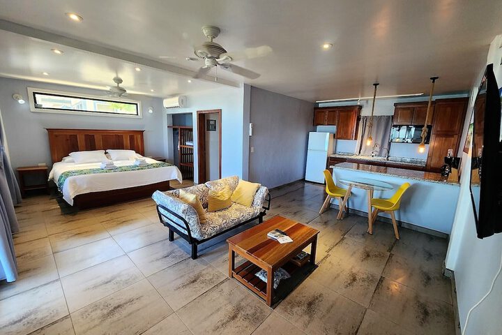 Room 40 of 223