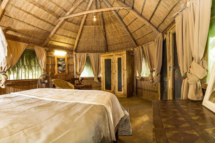 General 25 of 72