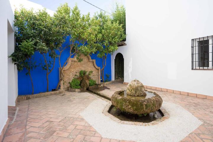 Photo 24