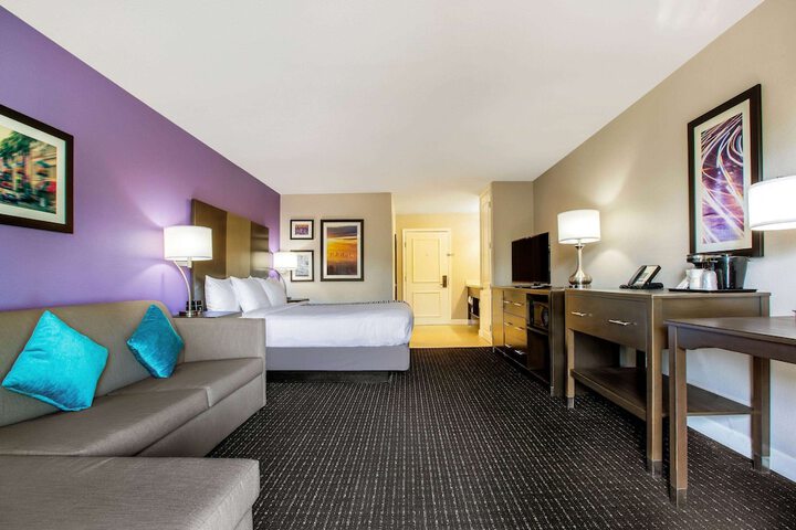 1 King Bed (6 of 8)